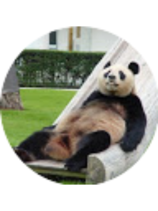 Photo of Kamil 