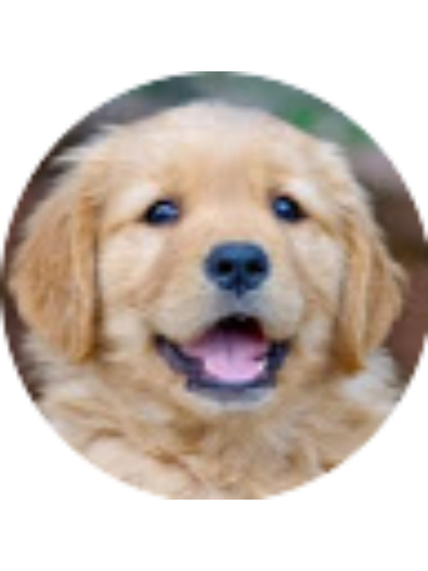 Photo of Olivia N Pankratz