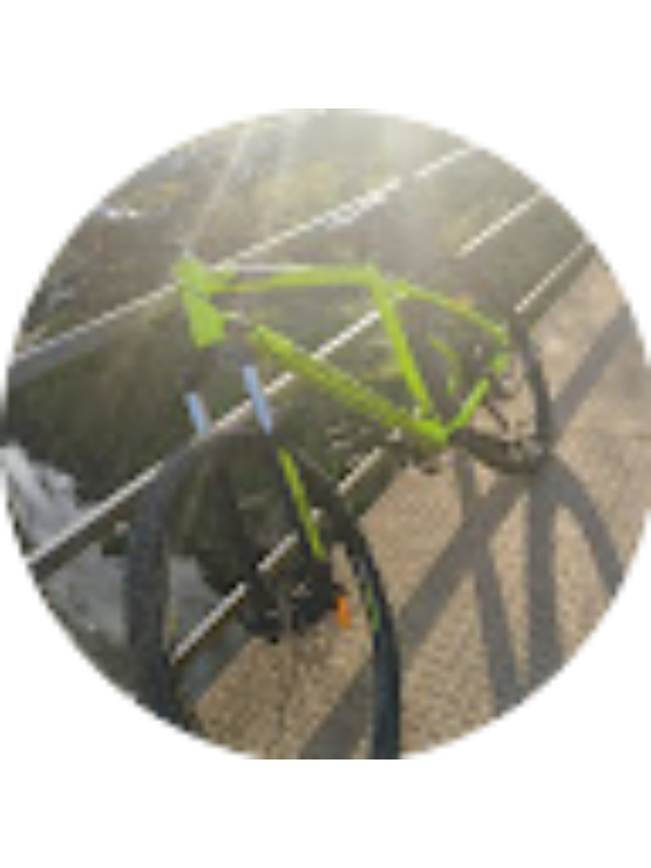 Photo of Calin Trofin