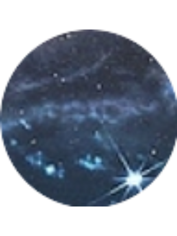 Photo of Trevor Stevens