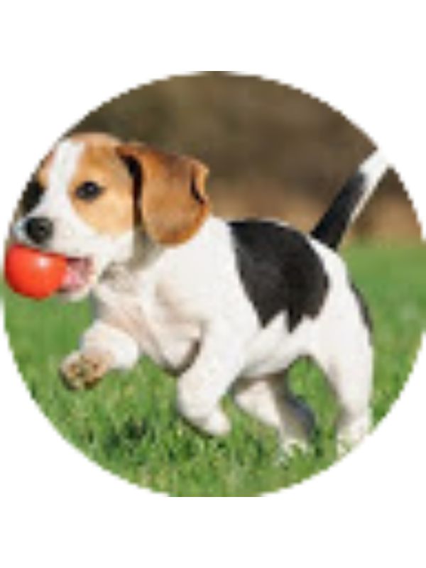 Photo of Melanie Yetman