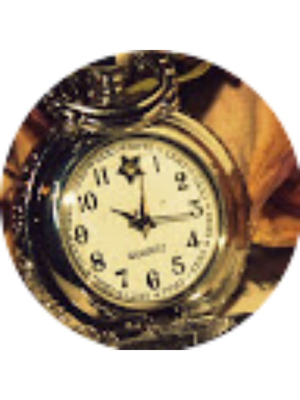 Photo of Nicol Portela