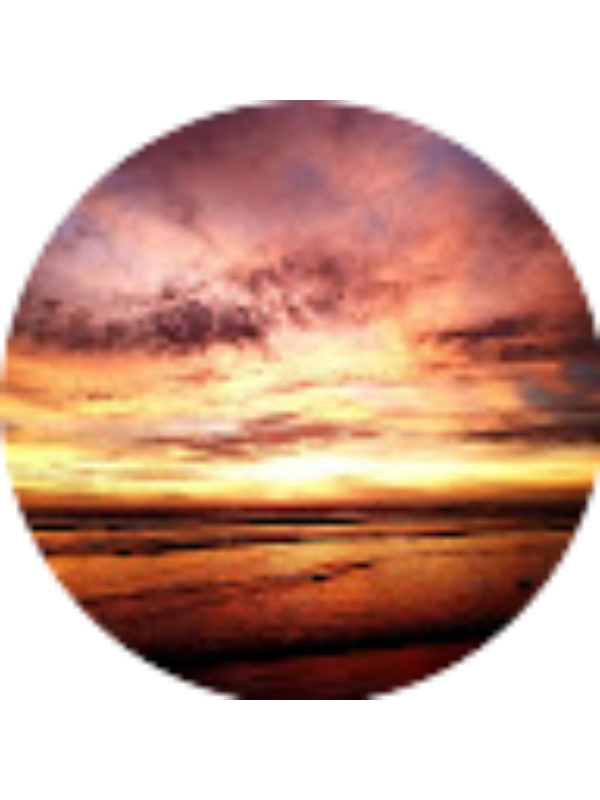 Photo of IRENE NICOLA