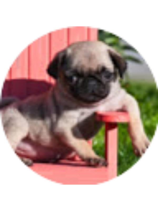 Photo of Abigail West