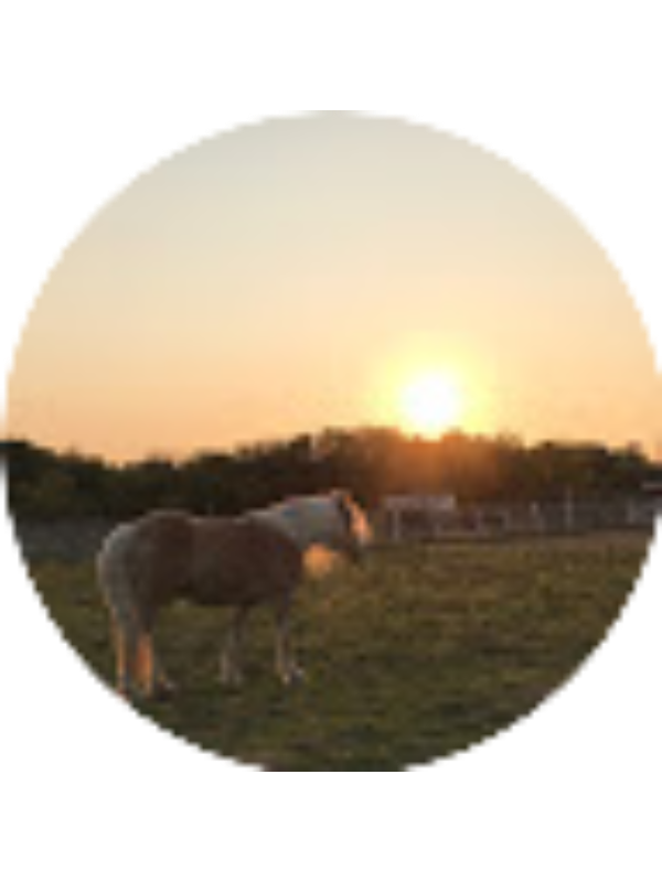 Photo of Elizabeth Lalor