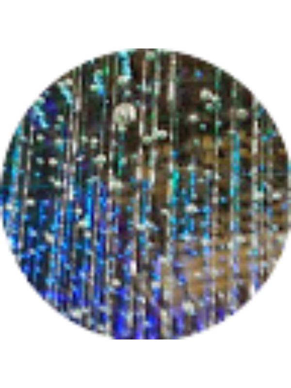 Photo of Parmis Farhoodi