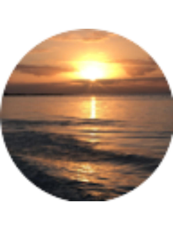 Photo of Ava Sweet-Richardson