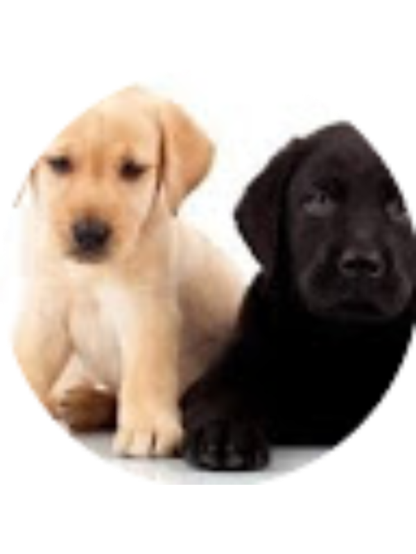 Photo of Morgan O Putzier