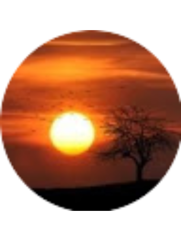 Photo of TARYN MCHUGH