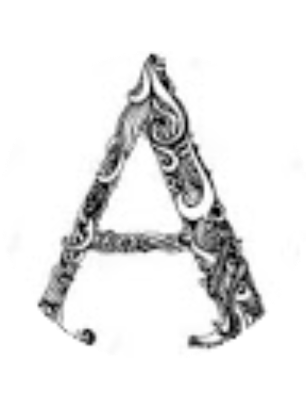 Photo of Alexa Madden