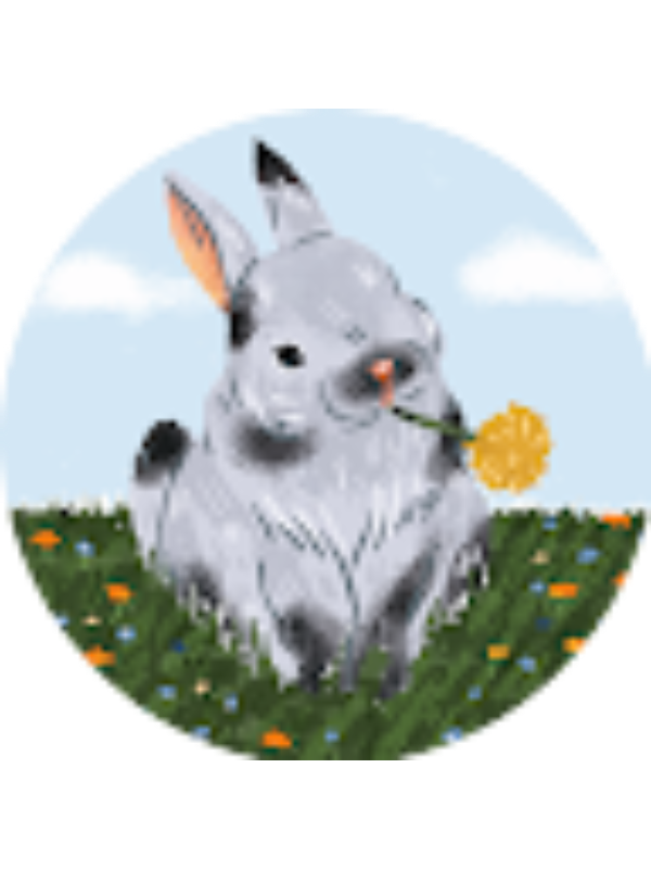 Photo of Hamit Krashi