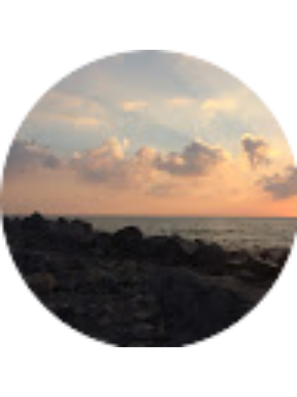 Photo of Nur G&ouml;k