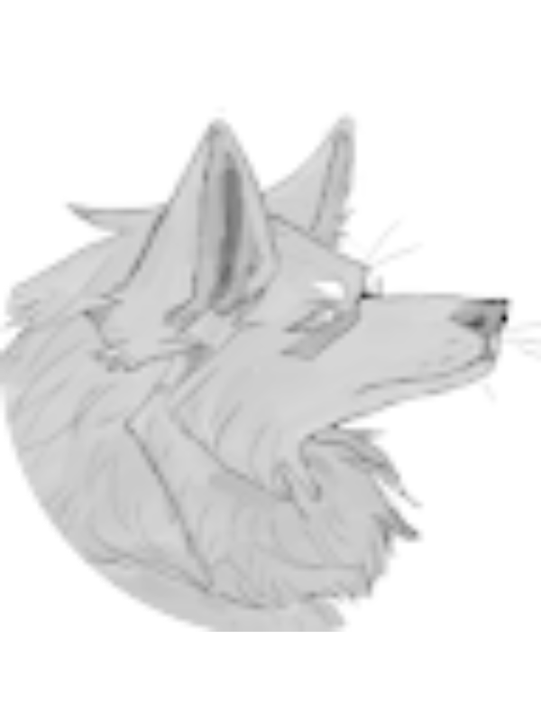 Photo of Ll kurofox Ll