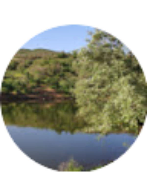 Photo of Ayşe YAŞA