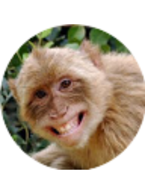 Photo of Wyatt Hasil