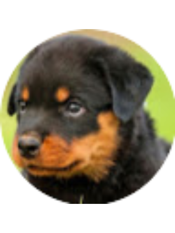 Photo of Hope Overton