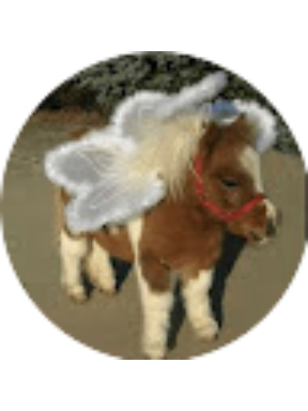 Photo of Maria Clara Mourao