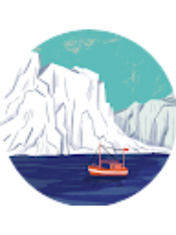 Photo of bicadorina49