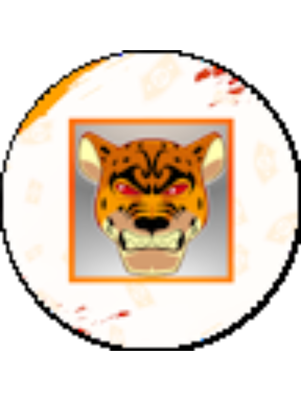 Photo of Marcos Mesquita De Andrade