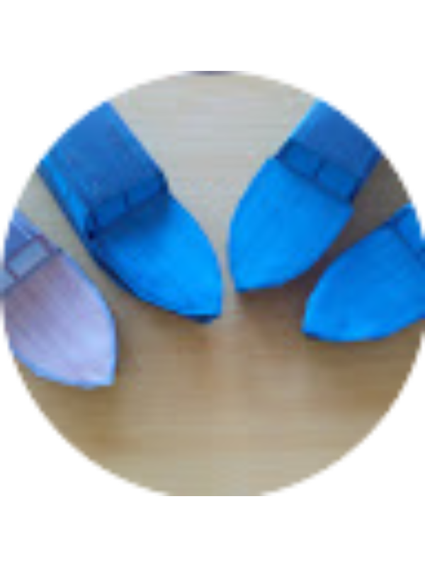 Photo of Florentina Vartosu