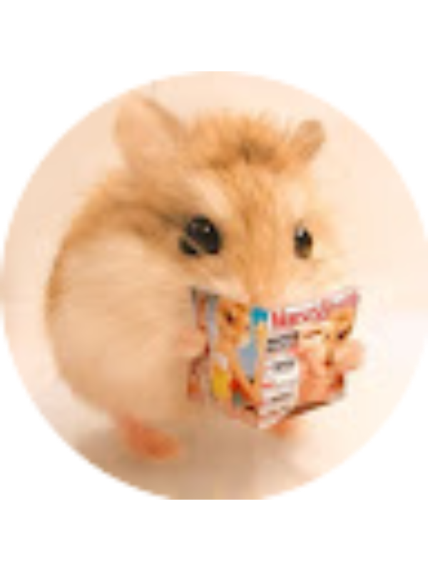 Photo of Mafia Business