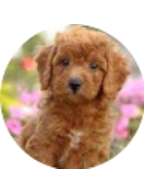 Photo of Jane Hollowell