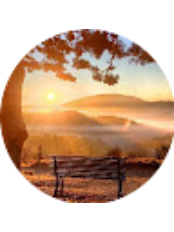 Photo of Edwin Machado