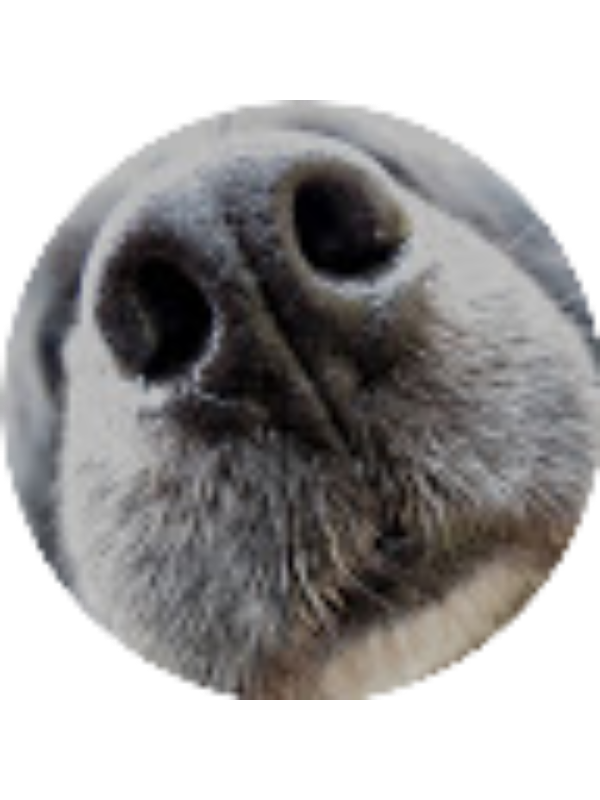 Photo of Kristyn Taylor