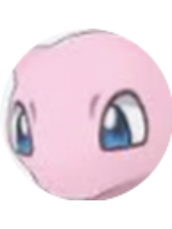 Photo of Camila Servant Verdugo