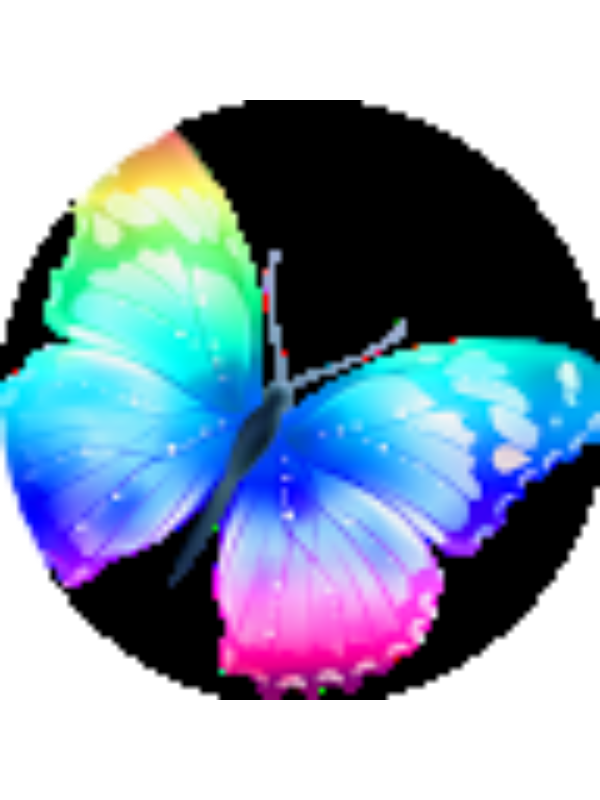 Photo of alizeecafs9