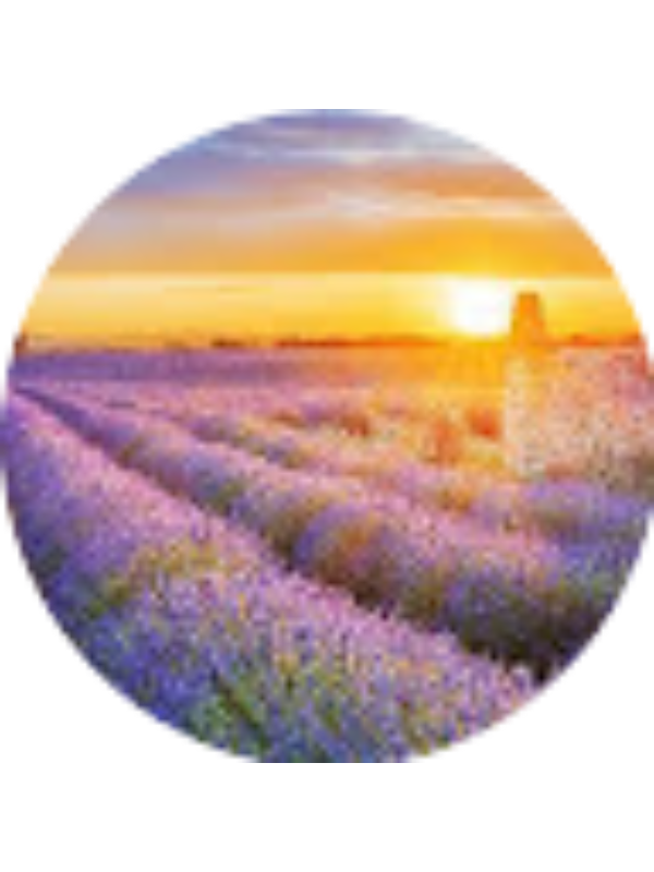 Photo of Emilija Černiauskaitė