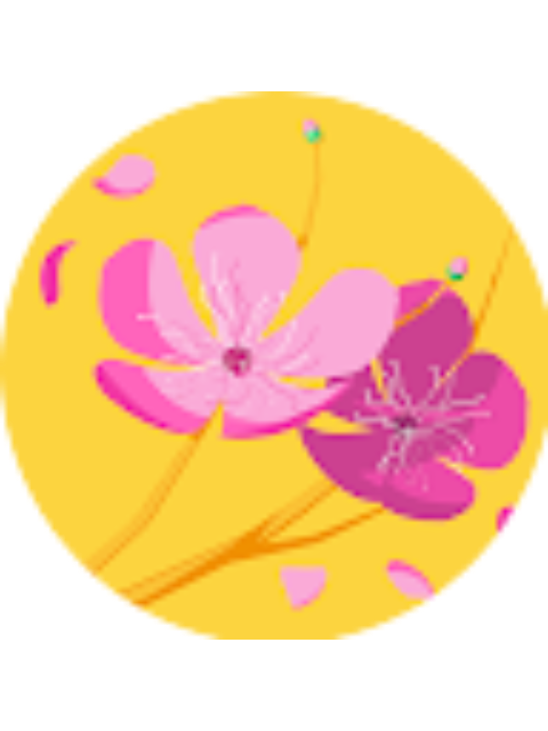 Photo of Cornelia Bradu