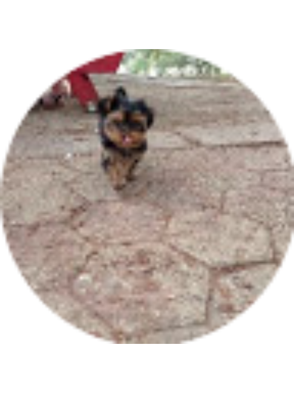 Photo of Yair Nechushtan