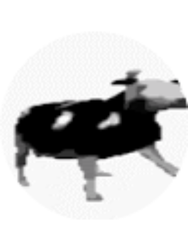 Photo of MIGUEL SEBASTIAN ZEA JIMENEZ