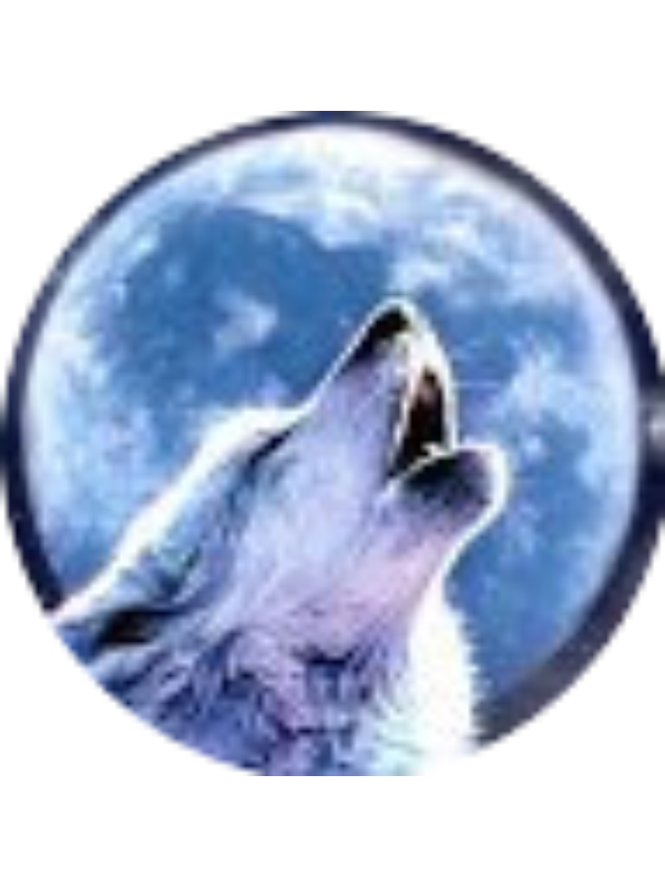 Photo of Adin Becker