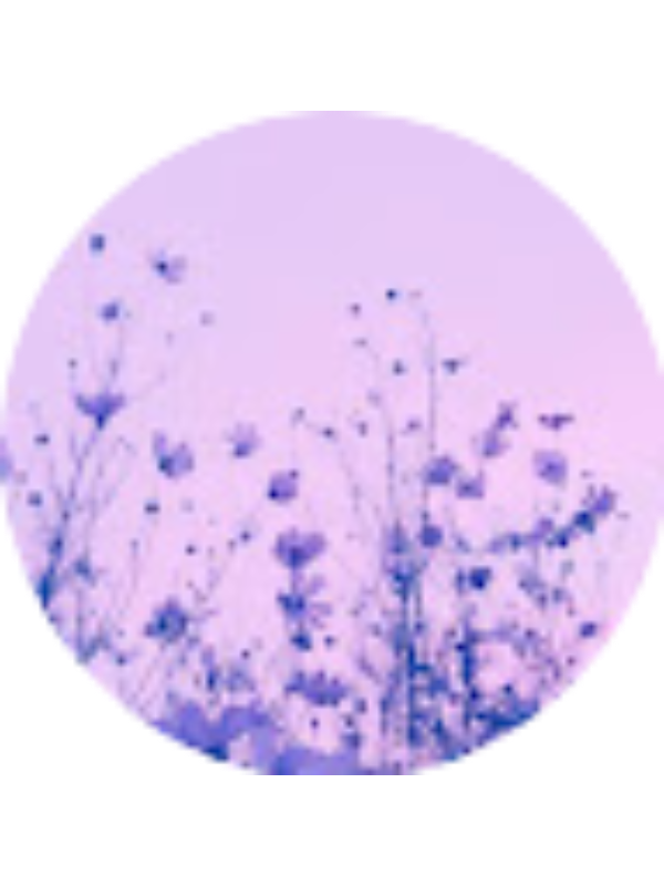 Photo of Maryam Baig