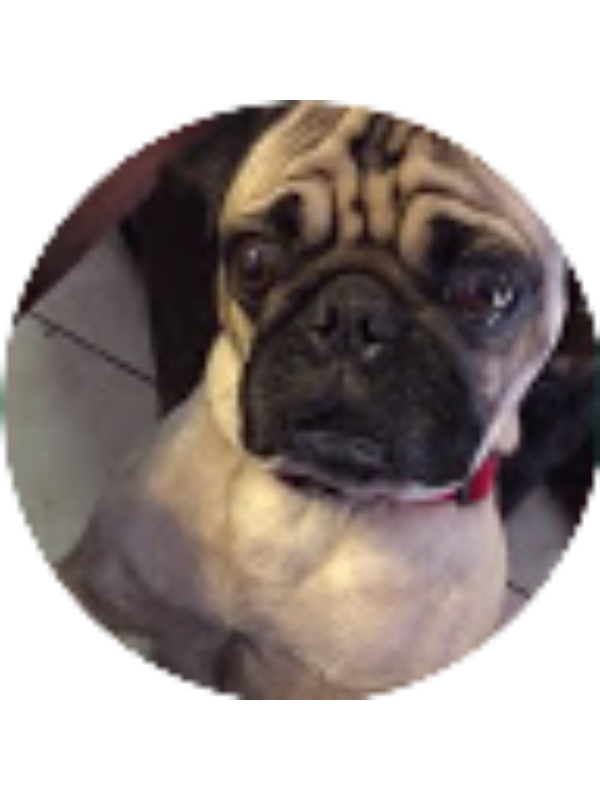 Photo of FaZe Revenge