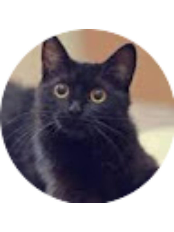 Photo of Katerina Was