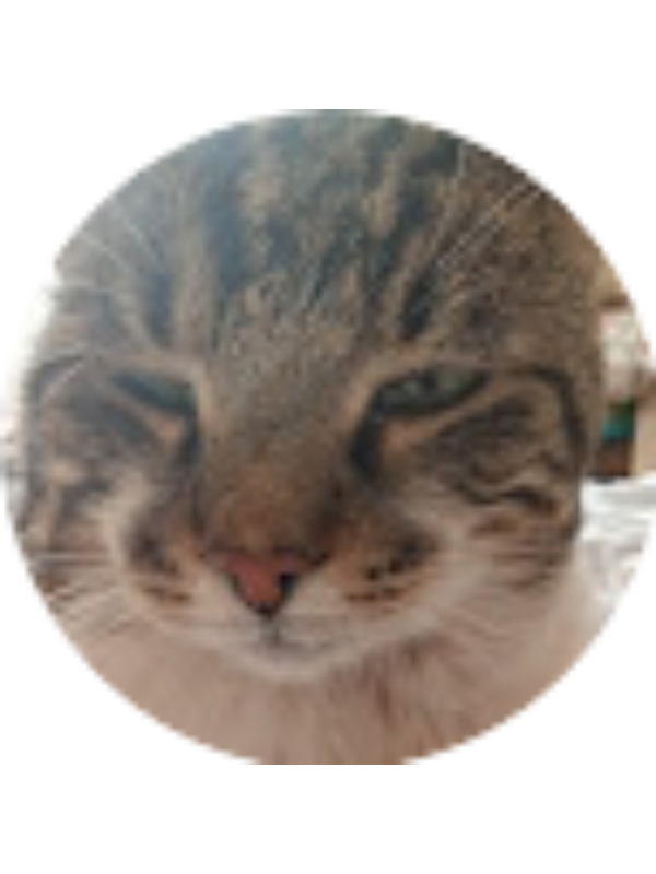 Photo of Sofija Kulevska