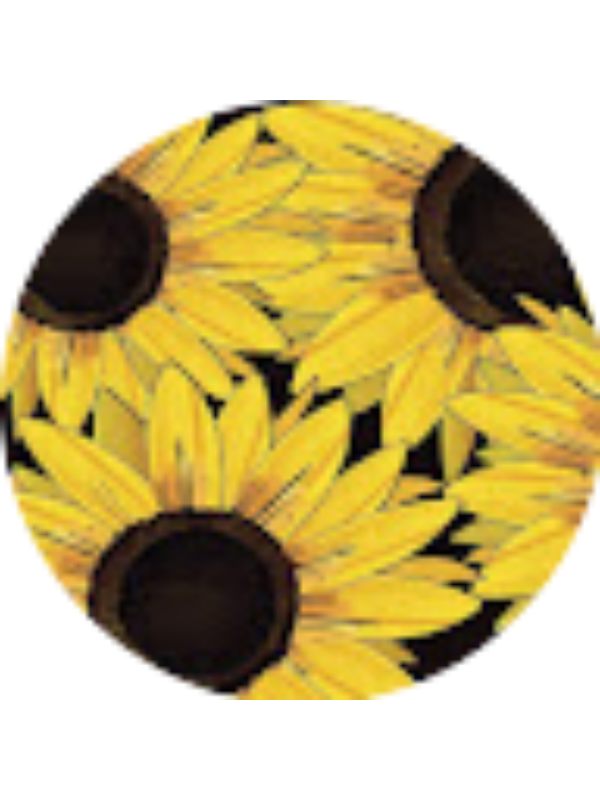 Photo of GRACE HEWLETT