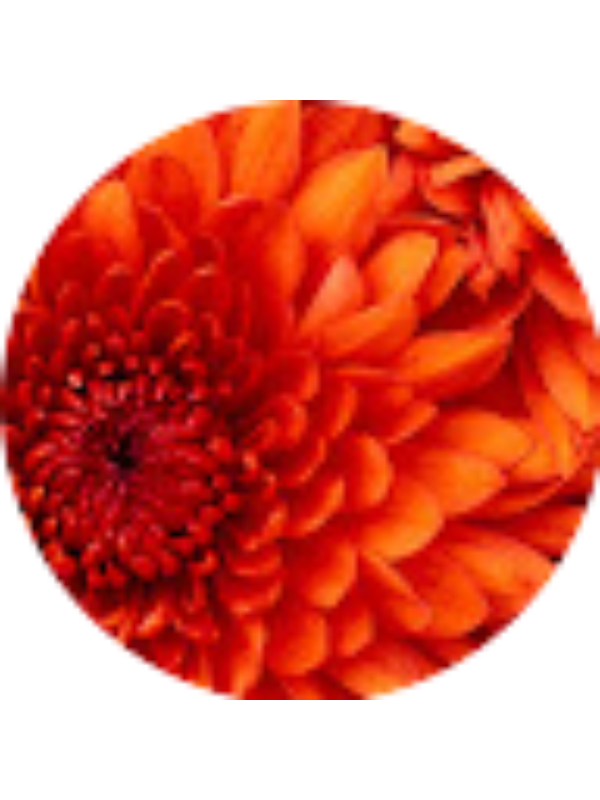 Photo of Esther Ignacio