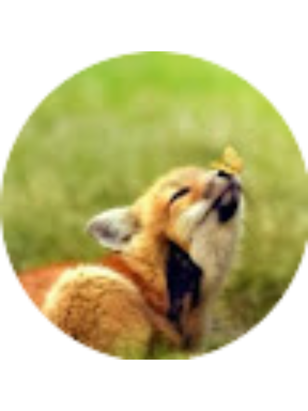 Photo of Peyton Cole