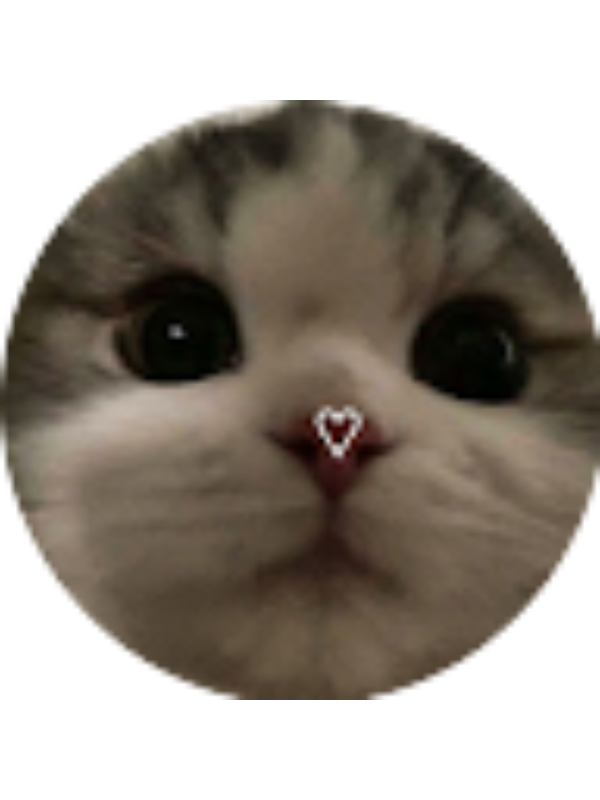 Photo of Sofija Lebedeva