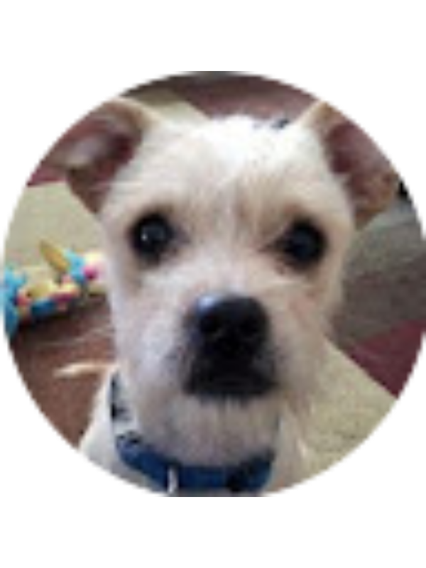 Photo of Collette Snow