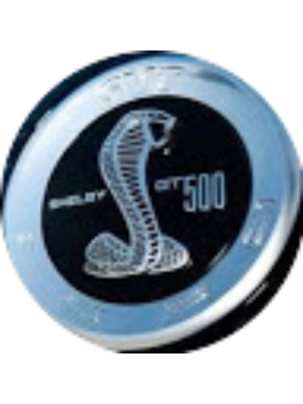 Photo of Steven Zlotopolski