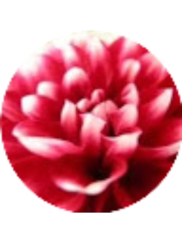 Photo of Clair Kaminski