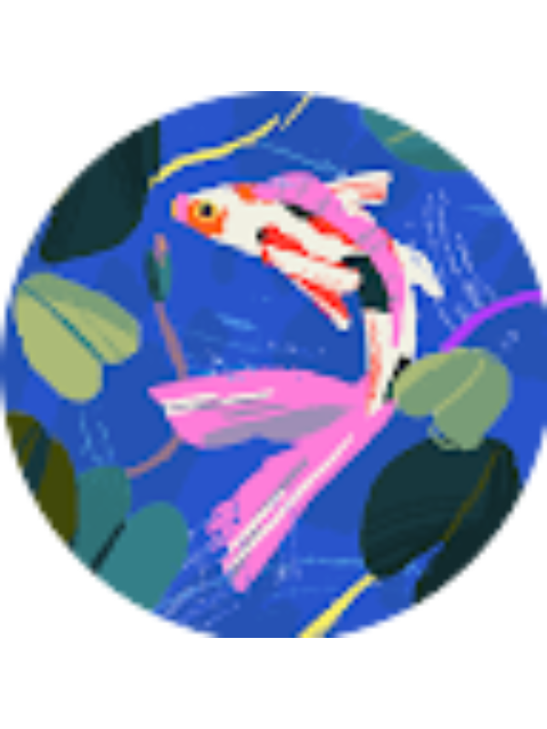 Photo of Elizabeth Vargas