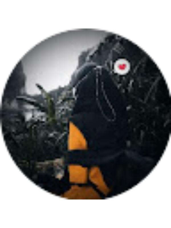 Photo of Ani Novitasari