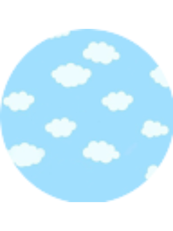 Photo of HS.Oluwapelumi Adeosun