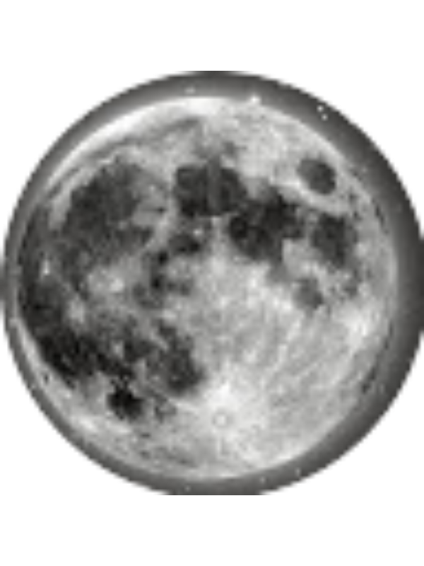 Photo of Yusuf Yenican